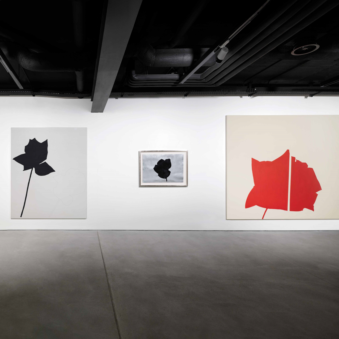 Jannis Kounellis - Io sono un pittore