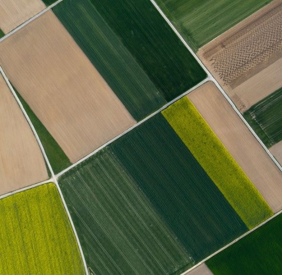 Food Industry Monitor | 2026