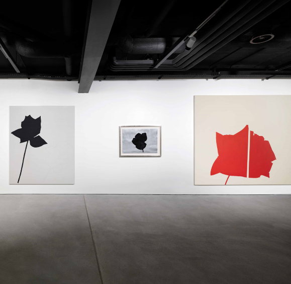 Jannis Kounellis - Io sono un pittore